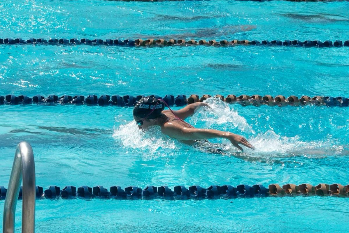 Success Stories Montage